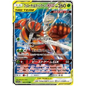 Pheromosa & Buzzwole GX 001/173 Tag Team GX All Stars Ultra Rare Unlimited Japonais High Class Pack:
TAG TEAM GX: Tag All Stars