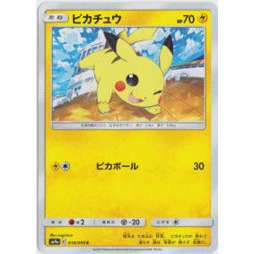 Pikachu 014/055 Night...