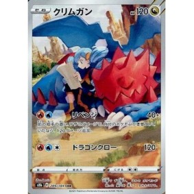 Druddigon 209/184 S8B VMAX...