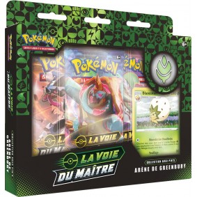 Pokémon Coffret Pin's Arène de Greenbury La Voie du Maître EB 3.5 FR