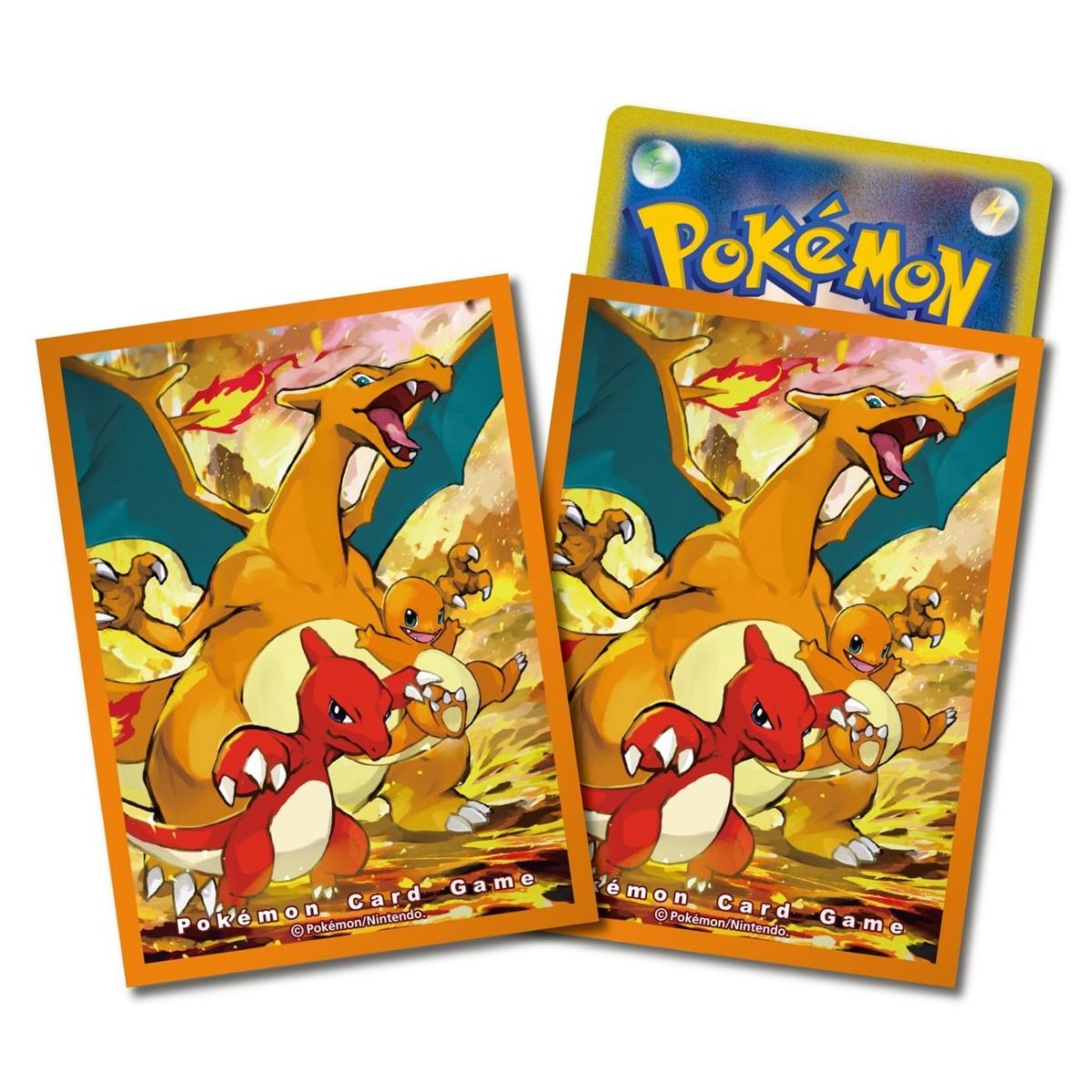 Pokémon Center - Proteges Cartes - Standard - Charizard & Evolution (64)