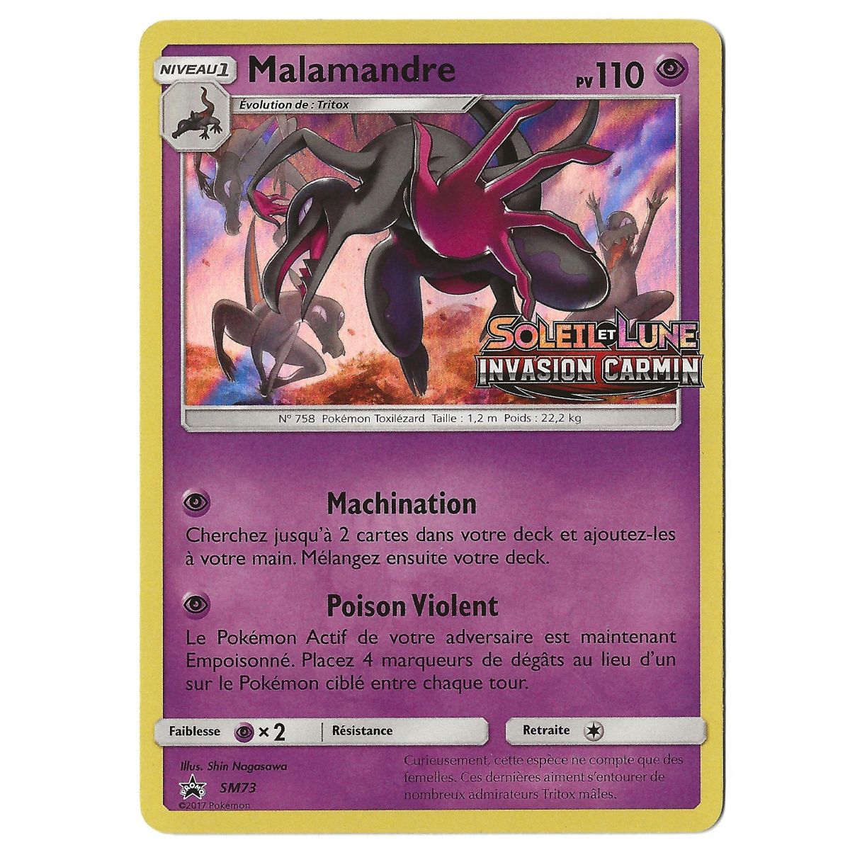 Malamandre - Holo Rare - SM73