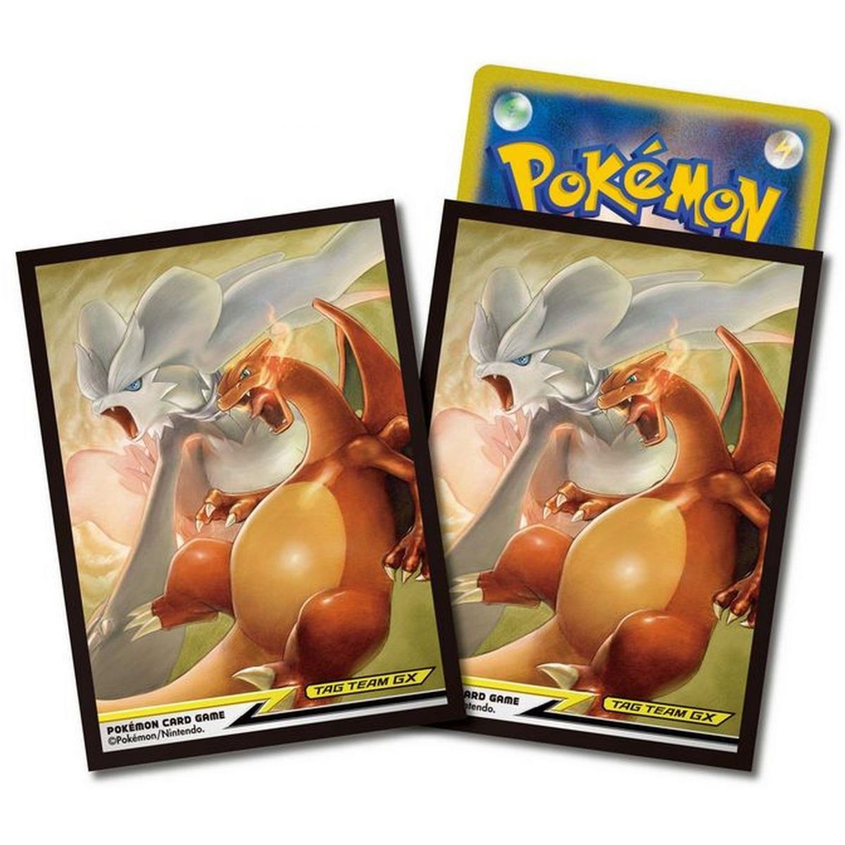 Pokémon Center - Proteges Cartes - Standard - Reshiram & Charizard (64)